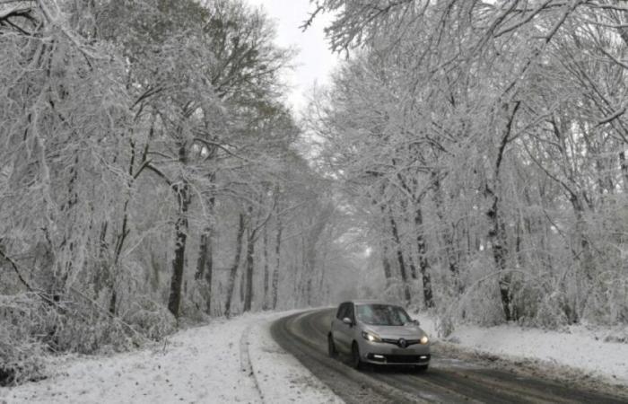 Caetano: 150,000 homes without electricity, watch out for refreeze: News