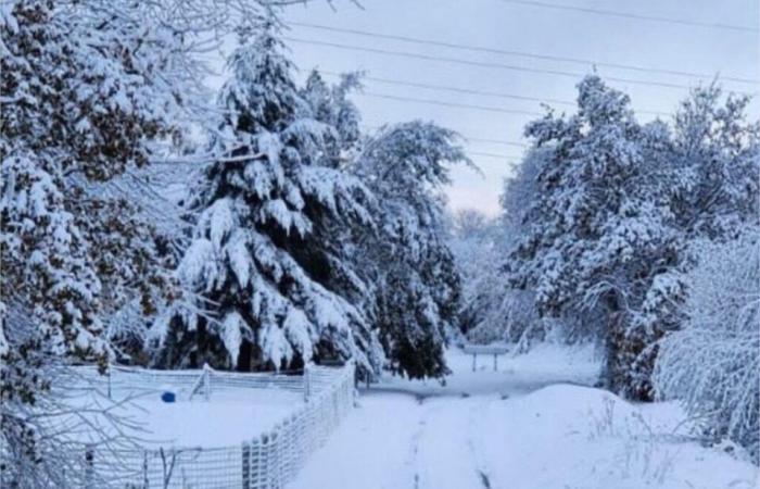 after the wind and snow, homes without electricity