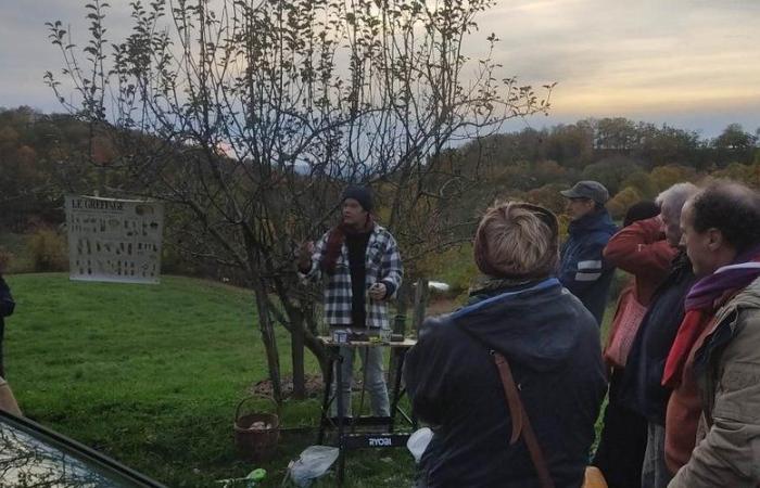 The Tree Festival takes root in Figeacois: the third edition will take place on Sunday in Espédaillac