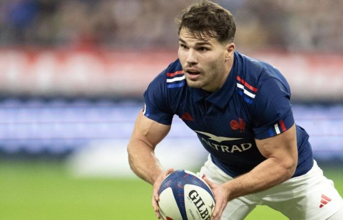 improve the conquest, stabilize the touch… What the French XV must adjust for the last match against Argentina