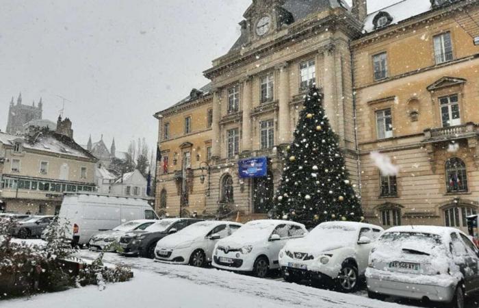 IN PICTURES. From Meaux to Disneyland Paris, the most beautiful photos of snow in Seine-et-Marne