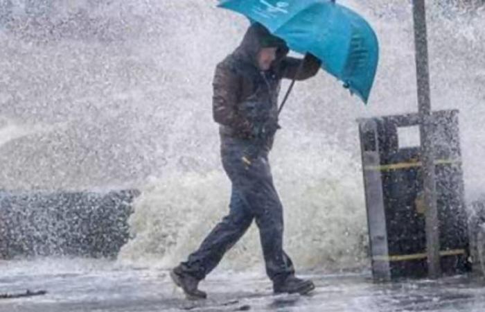 Storm Bert hits Ireland: Rain warnings in place countrywide, including Status Red for two counties, as Met Éireann warn of flood risk