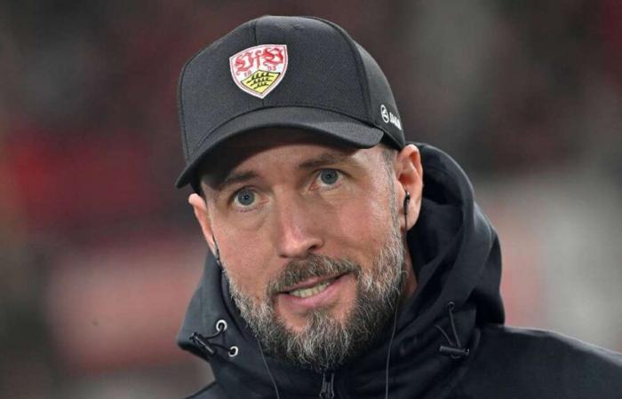 VfB Stuttgart against VfL Bochum: A chance for Woltemade – that's how Sebastian Hoeneß wants to play