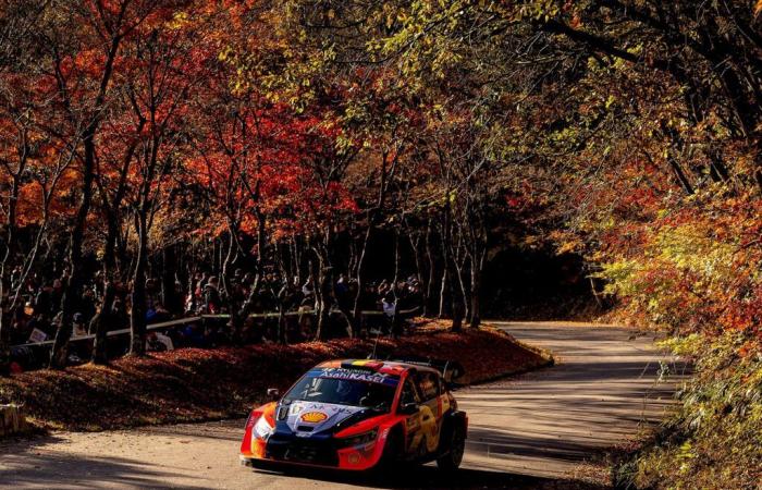 Classification SS11 Rally Japan 2024