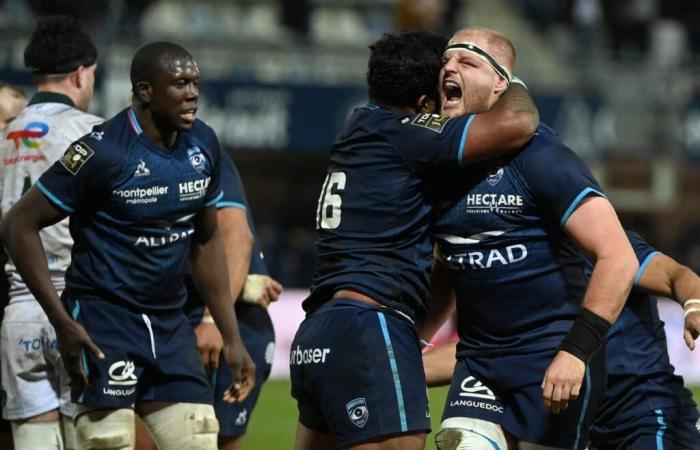 Top 14: the Paloise Section sank into an abysmal void against the MHR