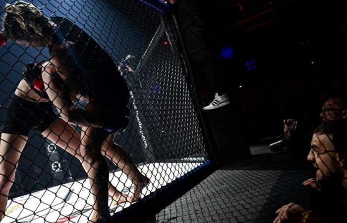 Provincial audiences, raids on the best young people, dates in Europe… How Hexagone MMA is becoming the first French league