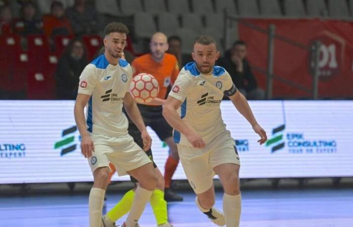 LIVE VIDEO. Toulon – Hérouville: follow the D1 futsal match live