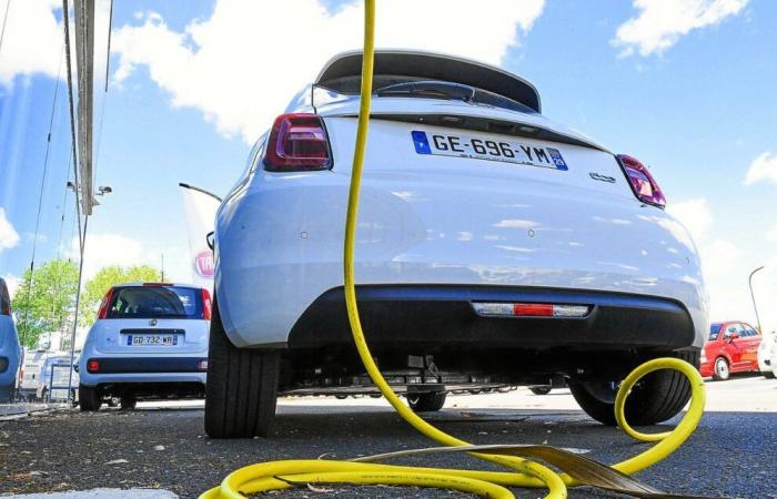 Electric car: the cut in purchasing aid raises fears of a collapse in sales