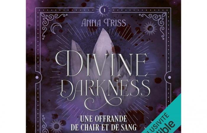 Divine Darkness volume 1 a Romantasy at the top!