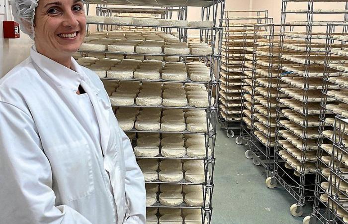 “Our customers are attached to this brand of trust”: in Aveyron, the Cabasses cheese dairy obtains its CSR label