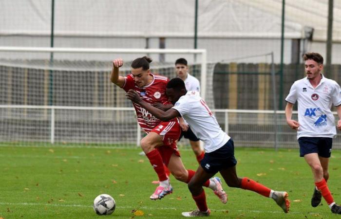 Amateur football (Occitanie Cup). Tarbes logically gets the best of Luzenac