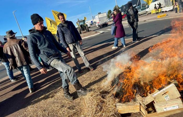 Why did farmers demonstrate in front of a Mercedes dealership in Limoges?