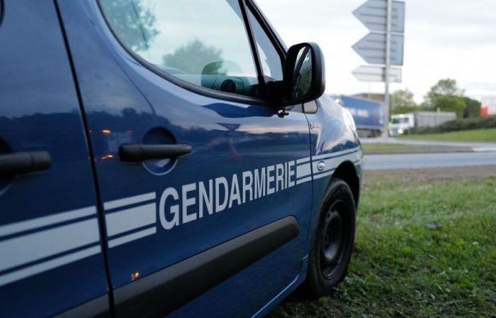 Gunfire, violence: a 15-year-old minor from Pays de Retz arrested after two violent attacks