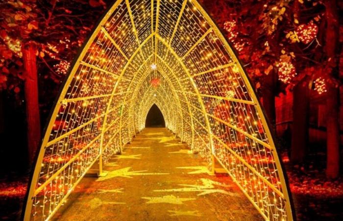 Lumières en Seine, the illuminated and festive route is back just a stone's throw from Paris