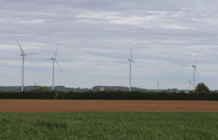 This wind farm should see the light of day in Sarthe: opponents are disappointed