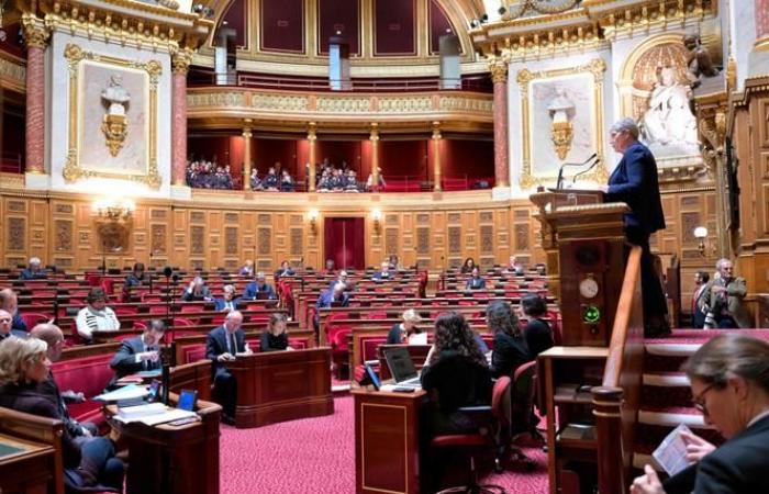 the Senate votes for two extensions for the dependency of elderly or disabled people