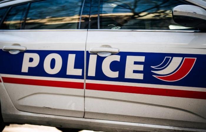 the body of an 81-year-old woman discovered in a bag in the forest near Blois