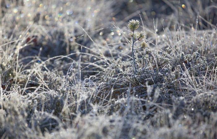 Weather: – 6°C, – 5.5°C, – 5°C… widespread frost in Aveyron this Saturday morning, here are the municipalities most affected by the cold