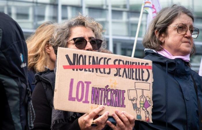 Paris, Bordeaux, Marseille, Lille… Demonstrations against violence against women planned across France on Saturday