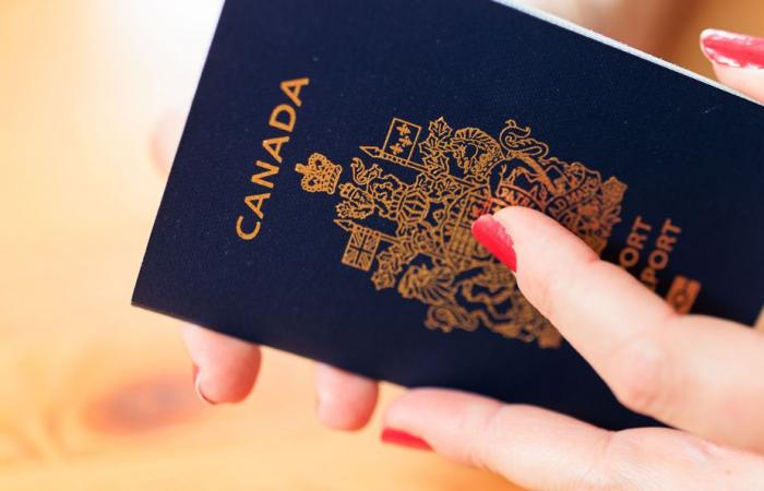 Privacy | Ottawa loses one passport per day