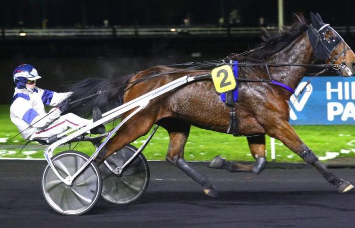 PMU – Arrival of the quinté on Friday November 22 at Paris-Vincennes: Instant d'Haufor saves the honor of the favorites