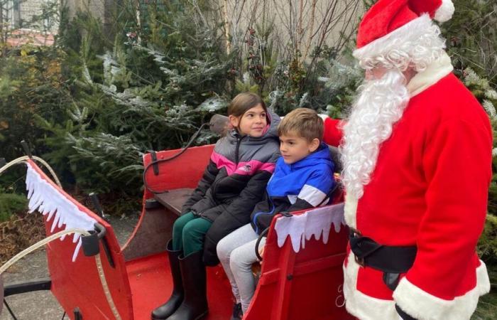 IN PICTURES – In Creuse, the “tradition” of the Crocq Christmas market