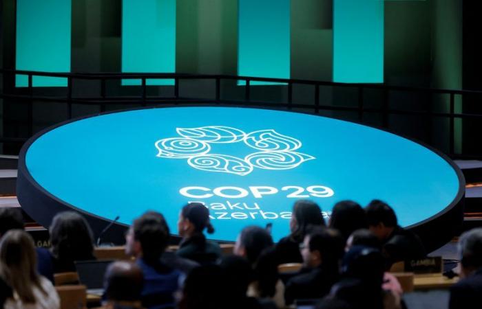 COP29 – Where are the 300 billion dollars?