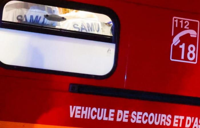 Moselle. A man seriously injured after a brawl outside a bar in Sarrebourg