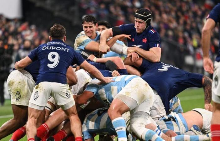 Rugby: France beats Argentina and ends its autumn tour undefeated