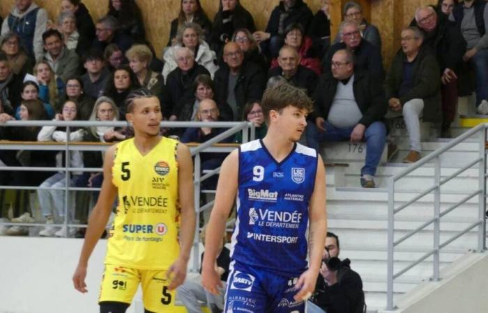 Basketball. Coupe de France Trophy: Montaigu breathes against Luçon/Sainte-Gemme