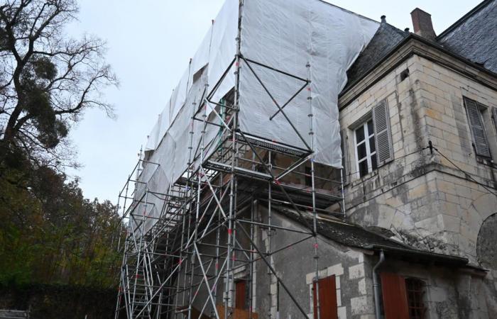 a curious act of vandalism at the Château de Gizeux