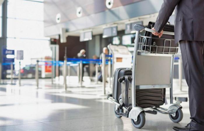 Ryanair, Vueling and others sanctioned for excessive baggage fees