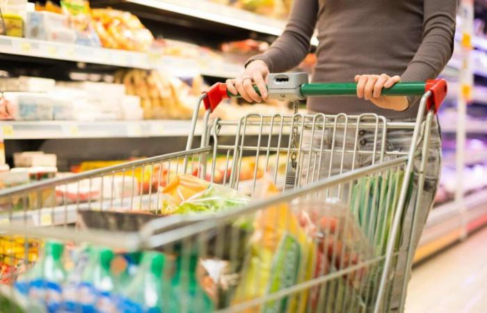 Prices of certain basic products fall in Belgium