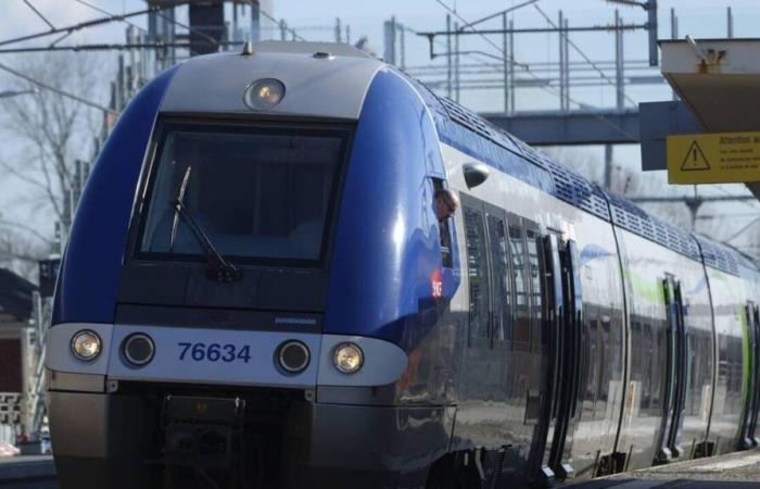 Several hundred TER and TGV passengers stranded in the middle of the night in the Landes