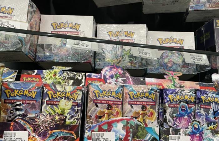 Fuji Store, the new temple of Pokémon cards, opened in Lille – 11/23/2024