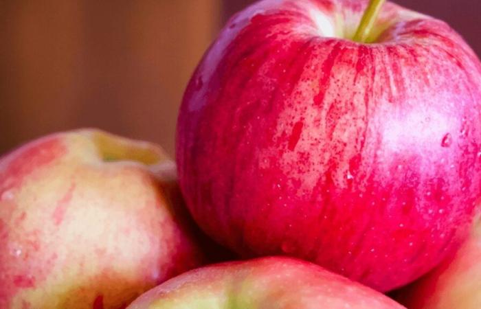 Can you snack on an apple between meals?