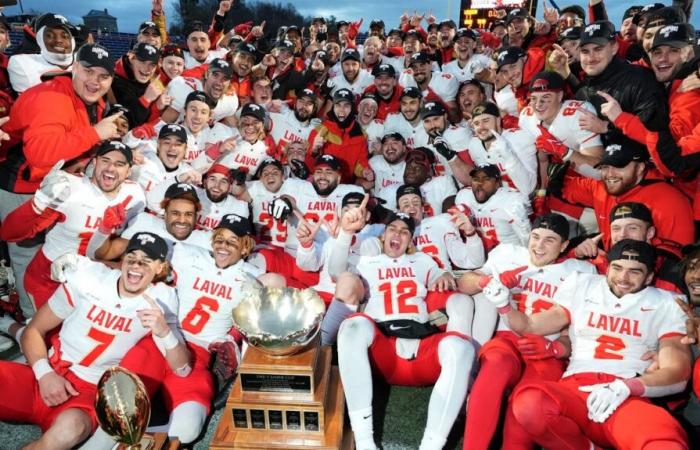 University football: The Rouge et Or wins its 12th Vanier Cup against Wilfrid Laurier