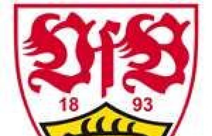 Leverkusen stampedes Heidenheim, Leipzig turned like a pancake, Dortmund on a stroll – Bundesliga – J11 – Summary