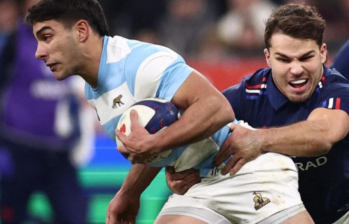 France – Argentina (37-23): Attack, defense… The Blues impressively efficient on the November tour