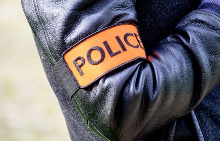 A man seriously injured during his arrest in Val-de-Marne