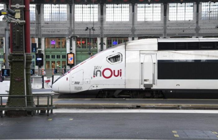 600 passengers stranded overnight in Landes after a breakdown