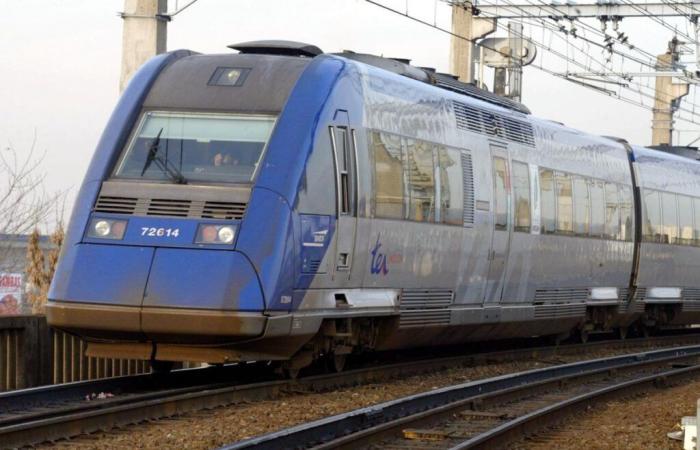 220 passengers on a Hendaye-Bordeaux train stranded in the middle of the night in Landes