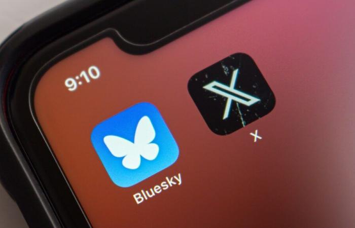 From X (ex-Twitter) to Bluesky, all the tools and tips you need to know for a successful migration