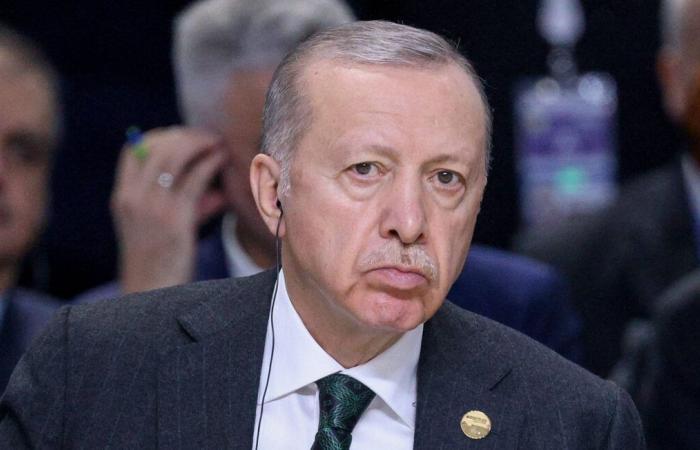 Erdogan applauds ICC arrest warrant against Netanyahu