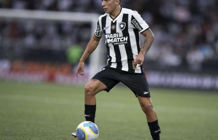 Botafogo x Vitória Prediction – Brazilian Championship