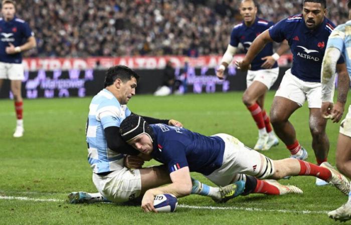 Faced with the Argentine Pumas, the XV of France received three out of three – Libération