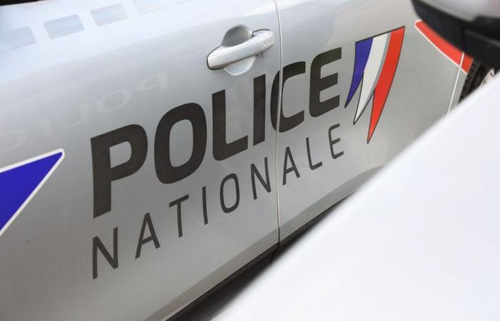 a man arrested in Grenoble and indicted