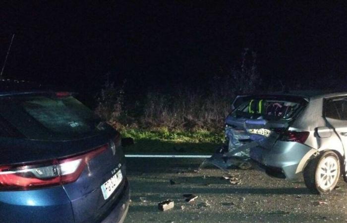 A wild boar causes a collision between two cars at a Deux-Sèvres intersection: one injured