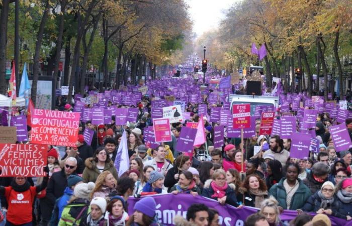 “Shame must change sides”: thousands of people in the streets against sexist violence