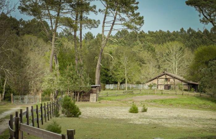 François Mitterrand: The secrets of his hidden house in the Landes which shaped his decisions – Actual Immo